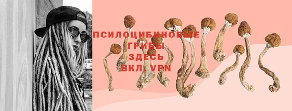 a pvp Краснотурьинск