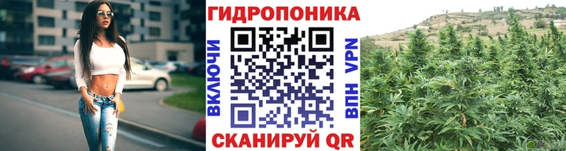 Конопля AK-47  закладки  Костомукша 